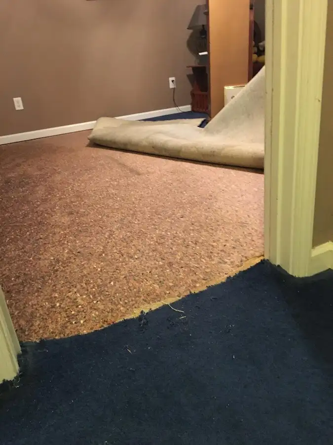 Carpet pad removal revealing water damage during Drying & Dehumidification in Hazleton