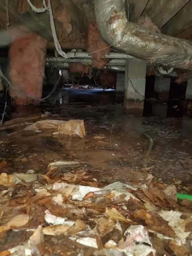 Crawl space flood assessment for Leak Detection & Repair in Hazleton