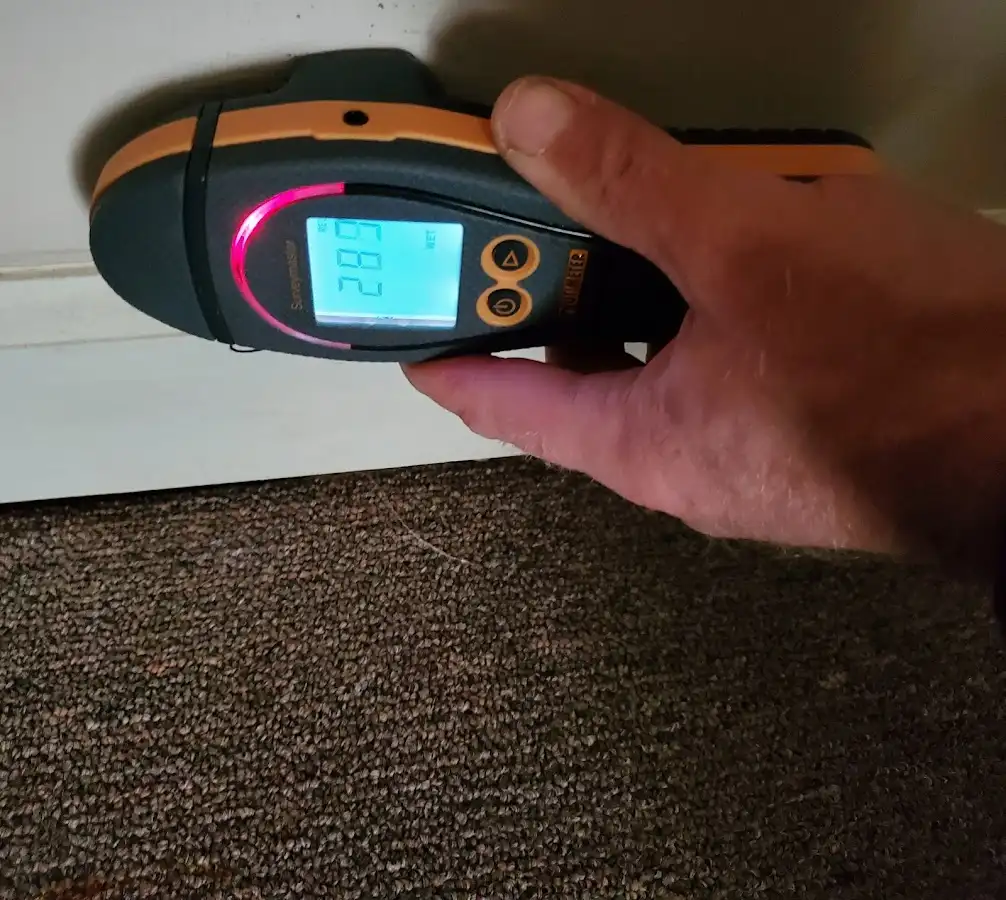 Moisture detection at baseboard during Sewage Cleanup & Sanitation in Hazleton